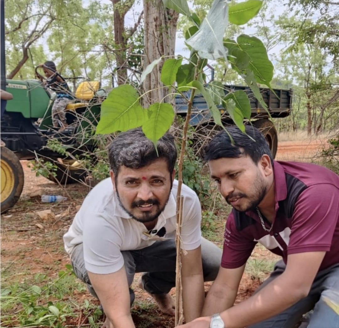Team planting a sapling in the forest area